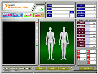 | g玉v\tguSM-306vʃfUC